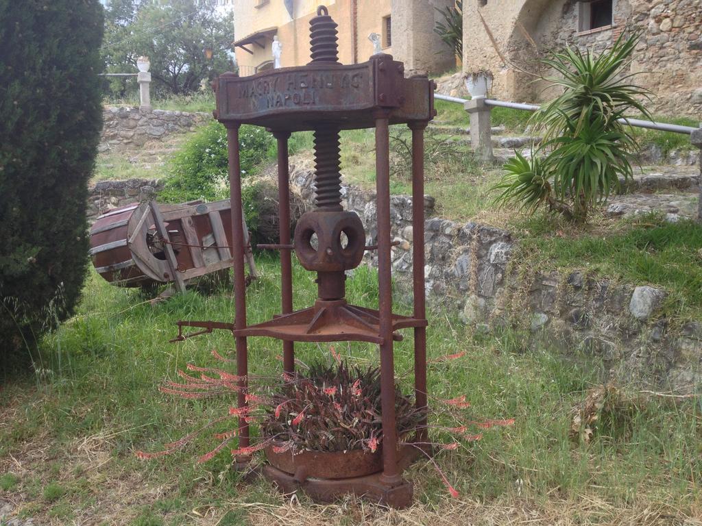 L'Anticocasale Pension Altomonte Buitenkant foto